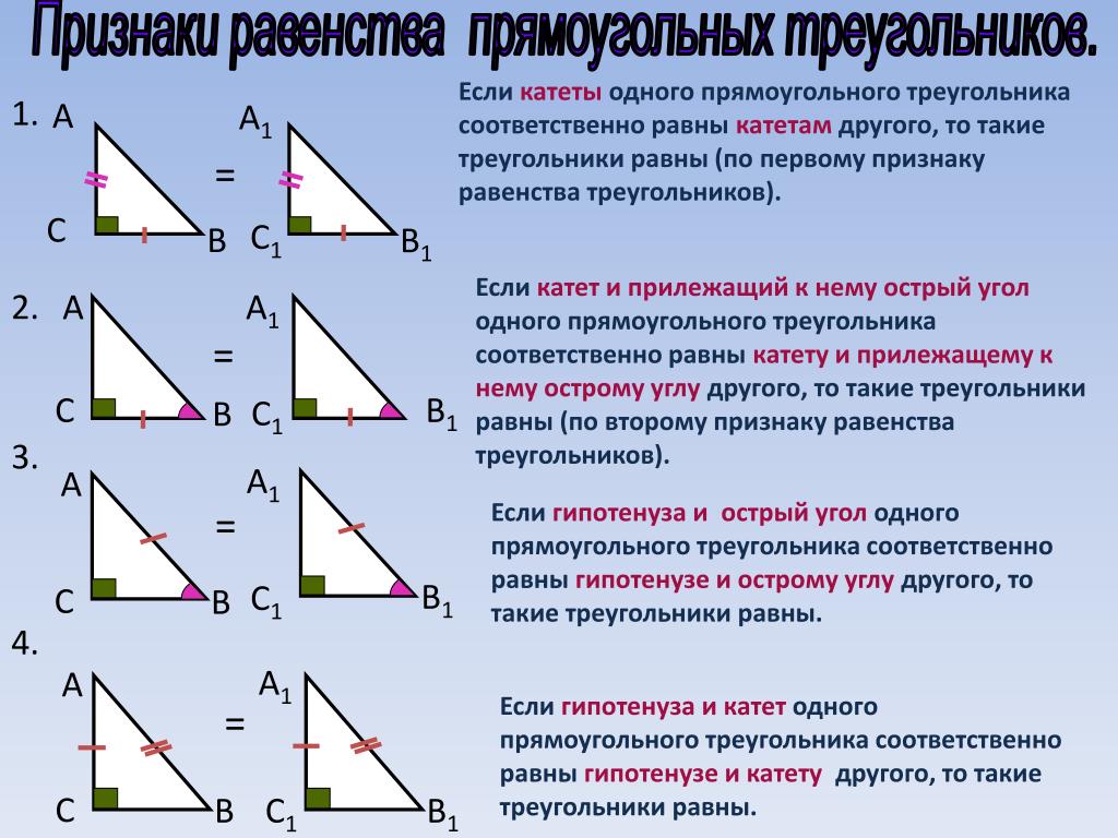 Катеты в прямоугольном треугольнике образуют угол какой. Первый признак равенства прямоугольных треугольников. Правильный прямоугольный треугольник. Равенство прямоугольных треугольников 7 класс. Геометрия признаки равенства прямоугольных треугольников.