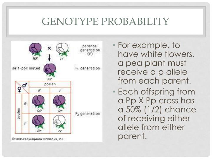 Ppt - Traits And Inheritance Powerpoint Presentation - Id:3075676