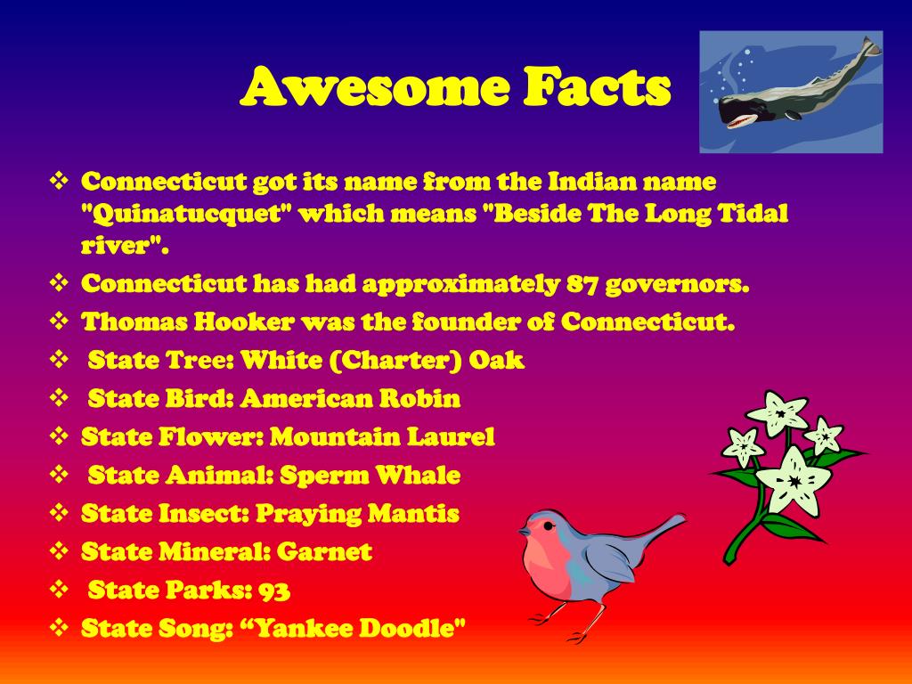 PPT - Connecticut A New England Colony PowerPoint Presentation, free ...