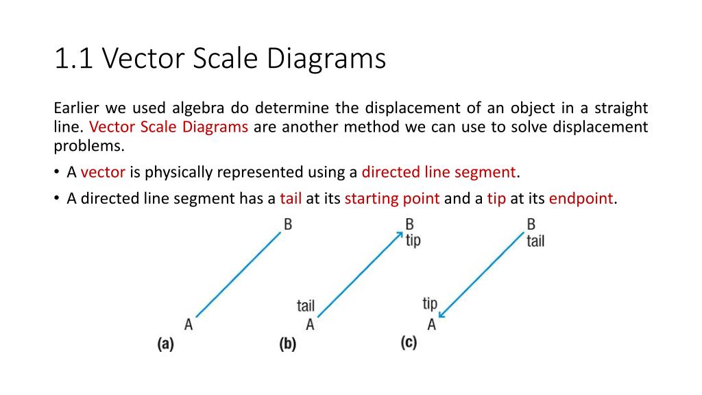 What Is A Vector Scale Diagram