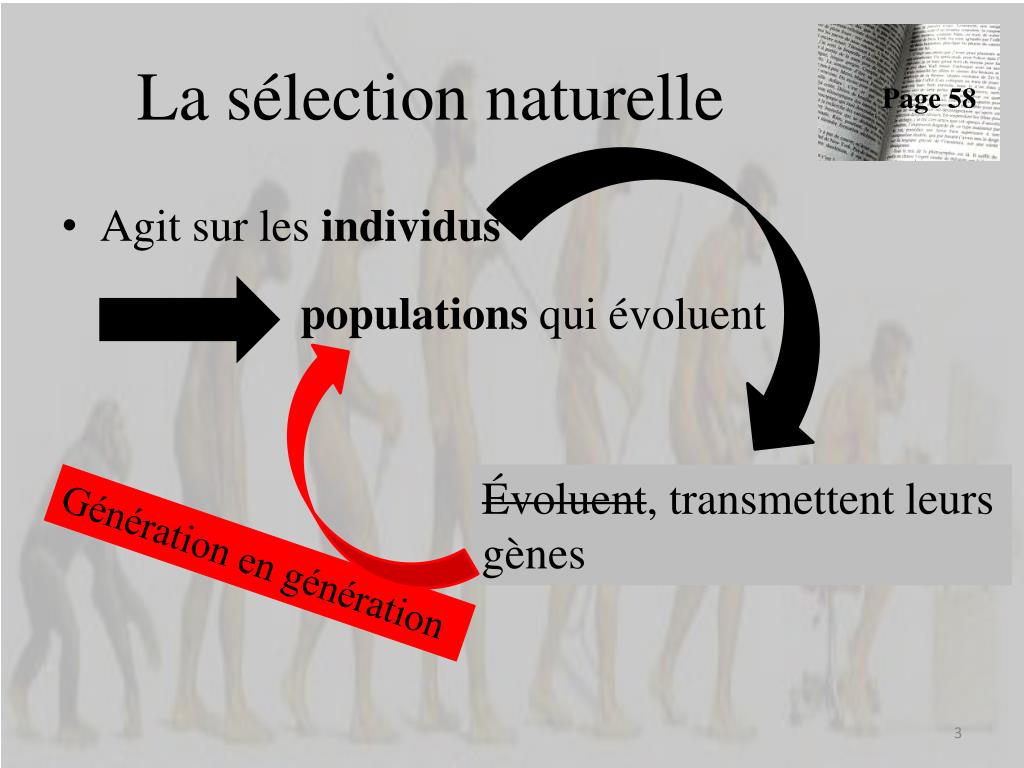 PPT - Compléments sur la sélection naturelle et sur la variation ...