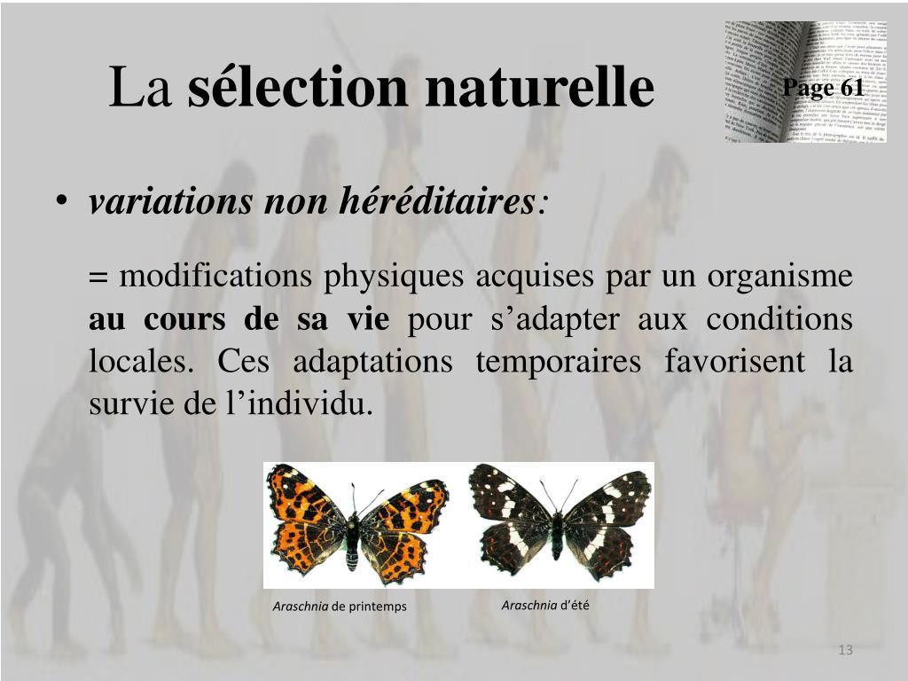 PPT - Compléments sur la sélection naturelle et sur la variation ...