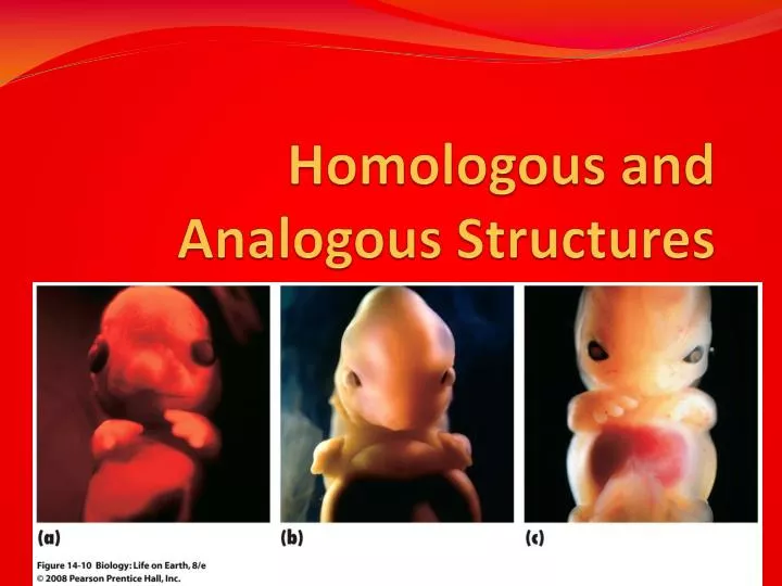 download analogous structures download analogous structures
