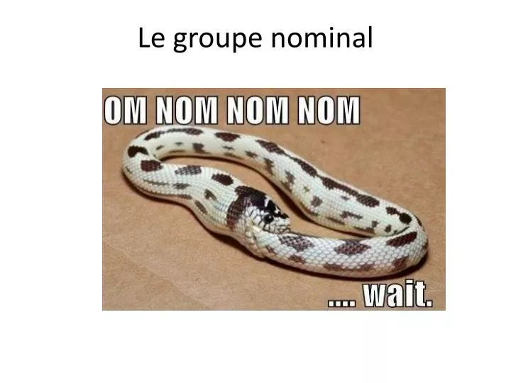 le groupe nominal n.