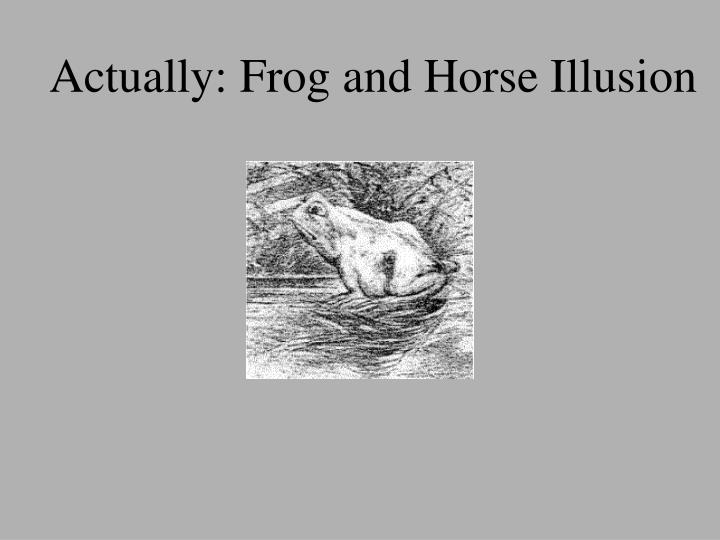 PPT - Optical Illusions PowerPoint Presentation - ID:3079889