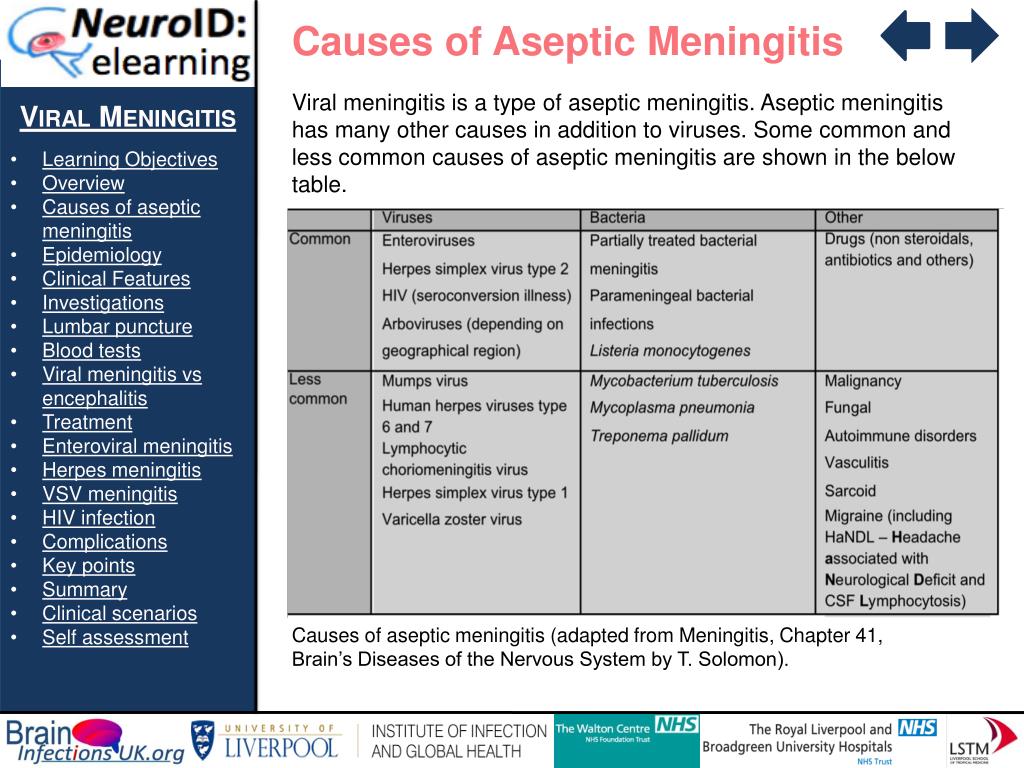 Ppt Viral Meningitis Learning Objectives Overview Causes Of