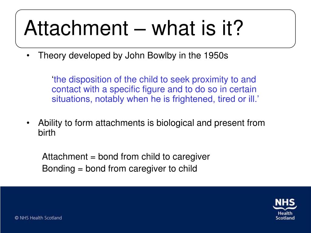 attachment theory was developed by