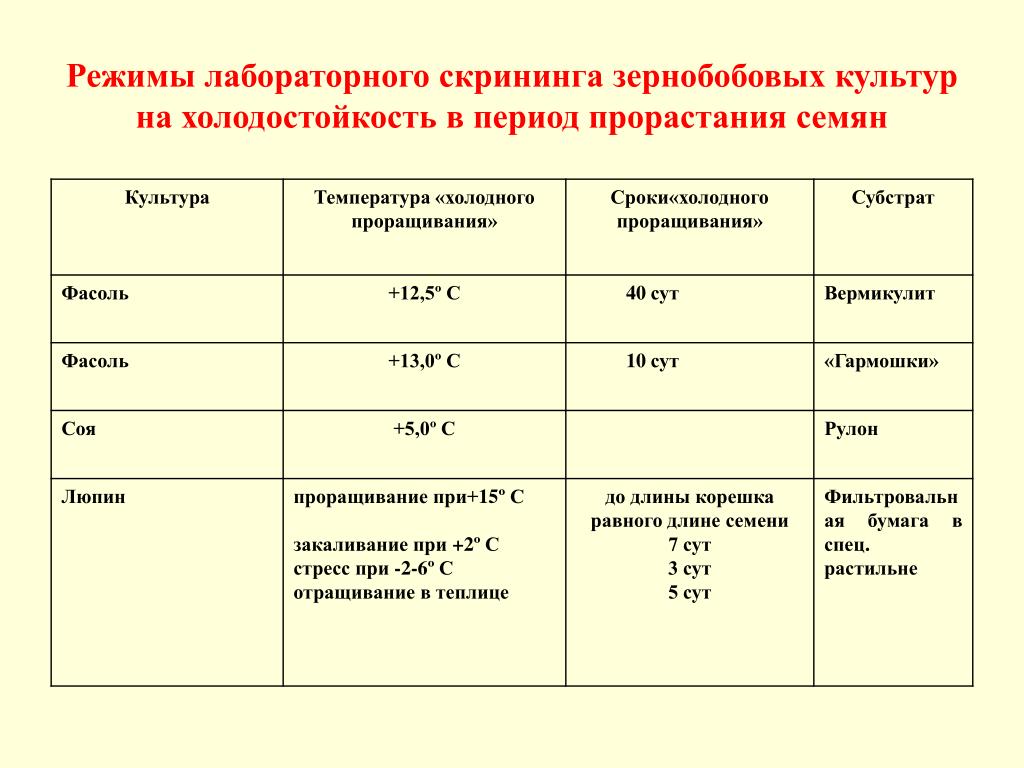 Срок холодному. Минимальная температура прорастания семян сои. Проращивание семян сои в рулонах. Анализ семян методом рулонов. Лён температурный режим проращивания.