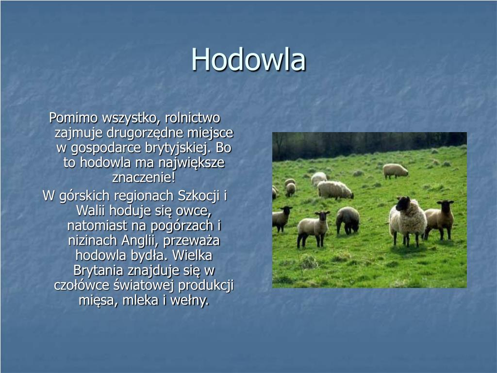 PPT - Wielka Brytania PowerPoint Presentation, free download - ID:3082493