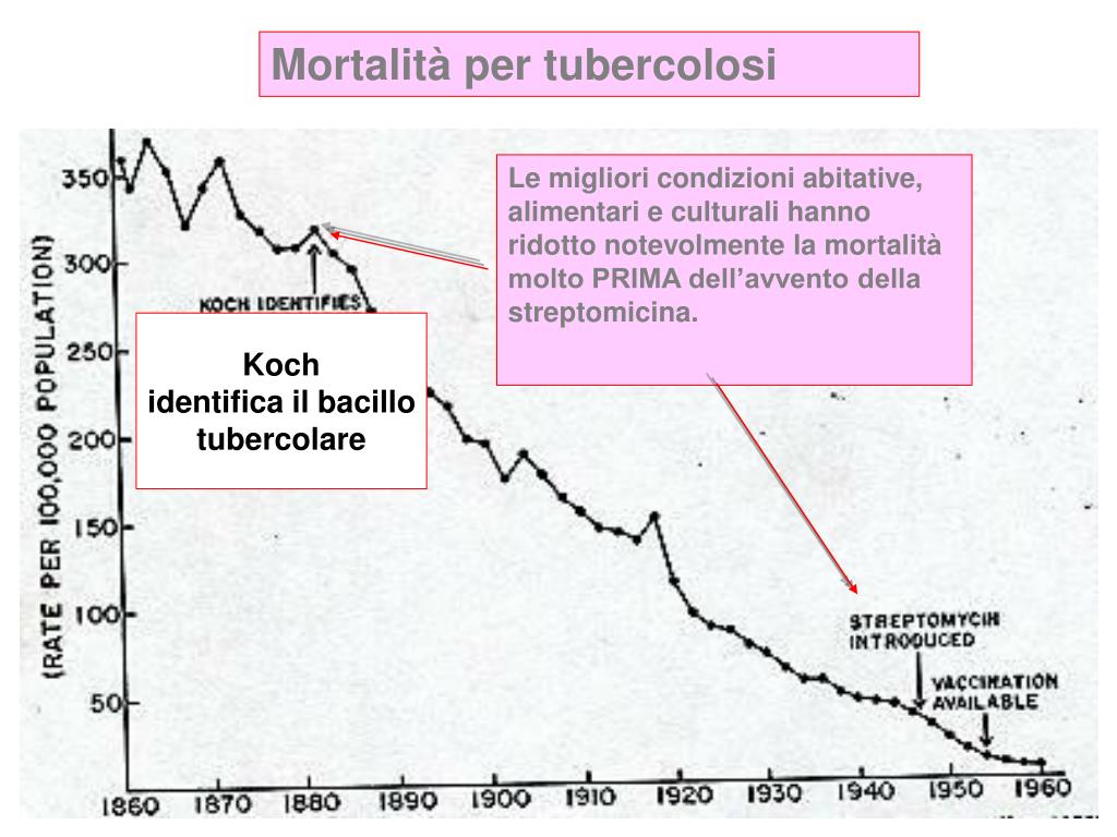 PPT - PREVENZIONE DELLE MALATTIE e PROMOZIONE DELLA SALUTE PowerPoint ...
