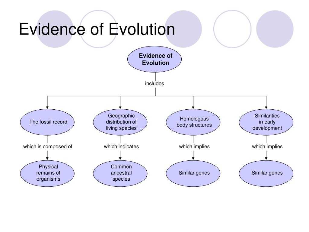 PPT - Evolution by Means of Natural Selection (Ch. 15, 17-1 and 17-3 ...