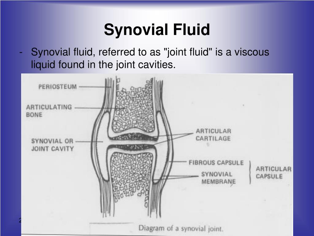 injections sunovial fluid in knee injections sunovial fluid in knee