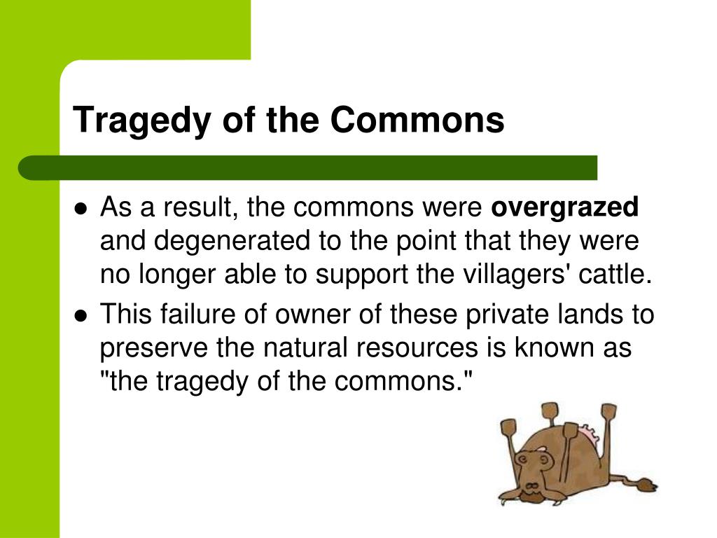in the essay tragedy of the commons what is referred to as common
