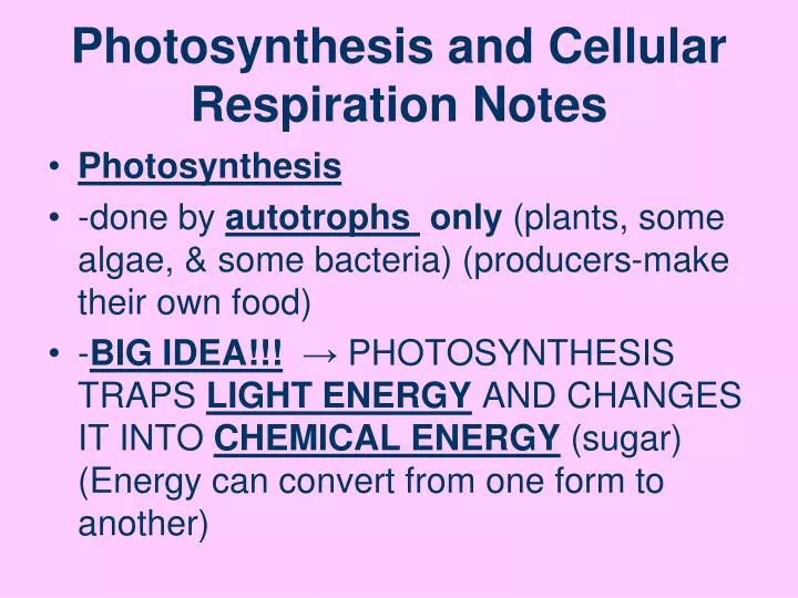 PPT - Photosynthesis and Cellular Respiration Notes PowerPoint ...