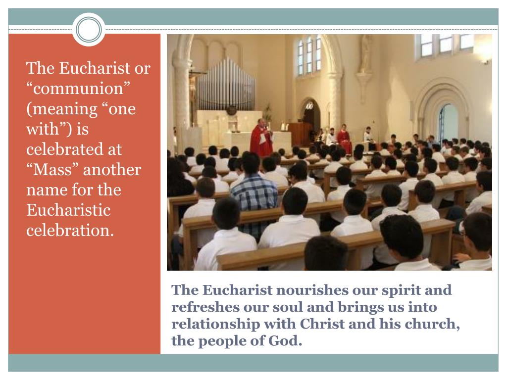 PPT - The Eucharist PowerPoint Presentation, free download - ID:3087815