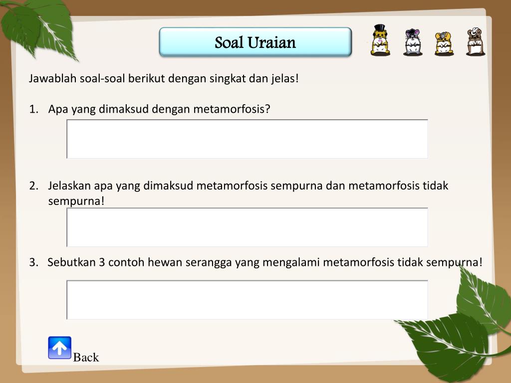  Apa  Yang  Dimaksud  Dengan  Metamorfosis Kumpulan Montase 