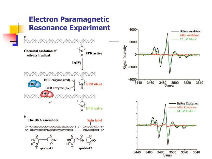 book science and