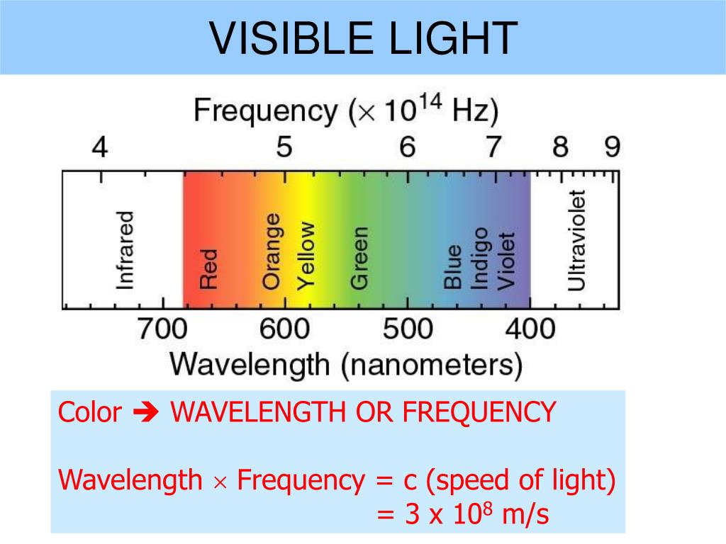 C frequency. Light Frequency. Visible Light. Wavelength = Speed of Light / Frequency. Wavelength and Frequency and Speed.
