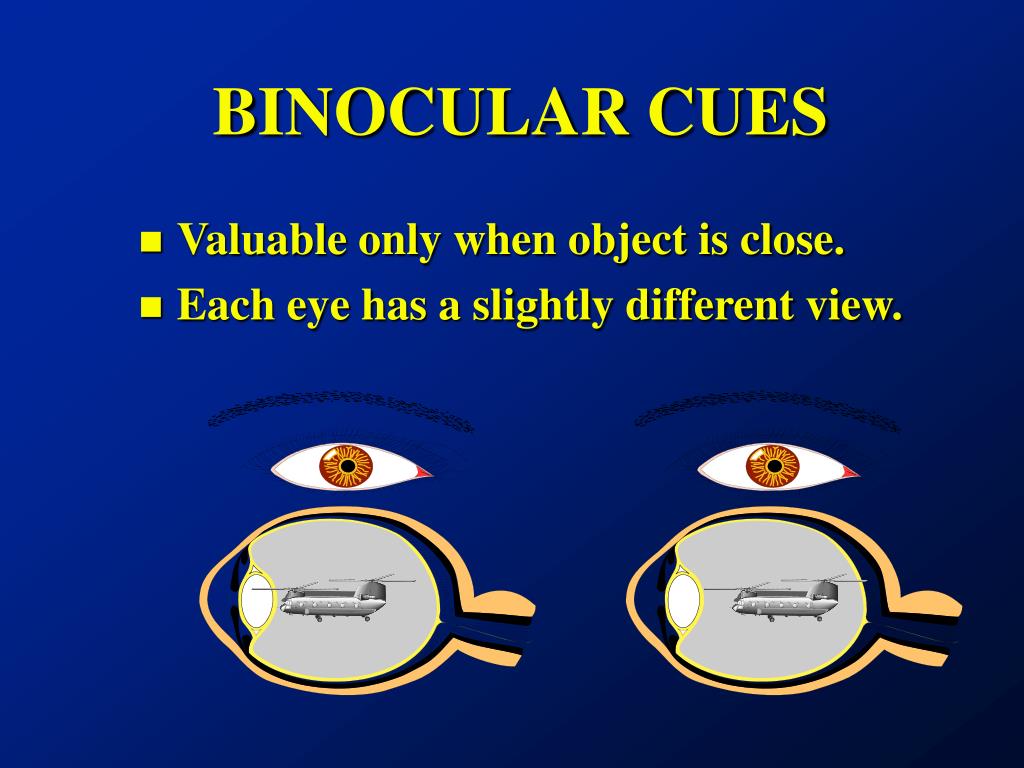 monocular vs binocular cues