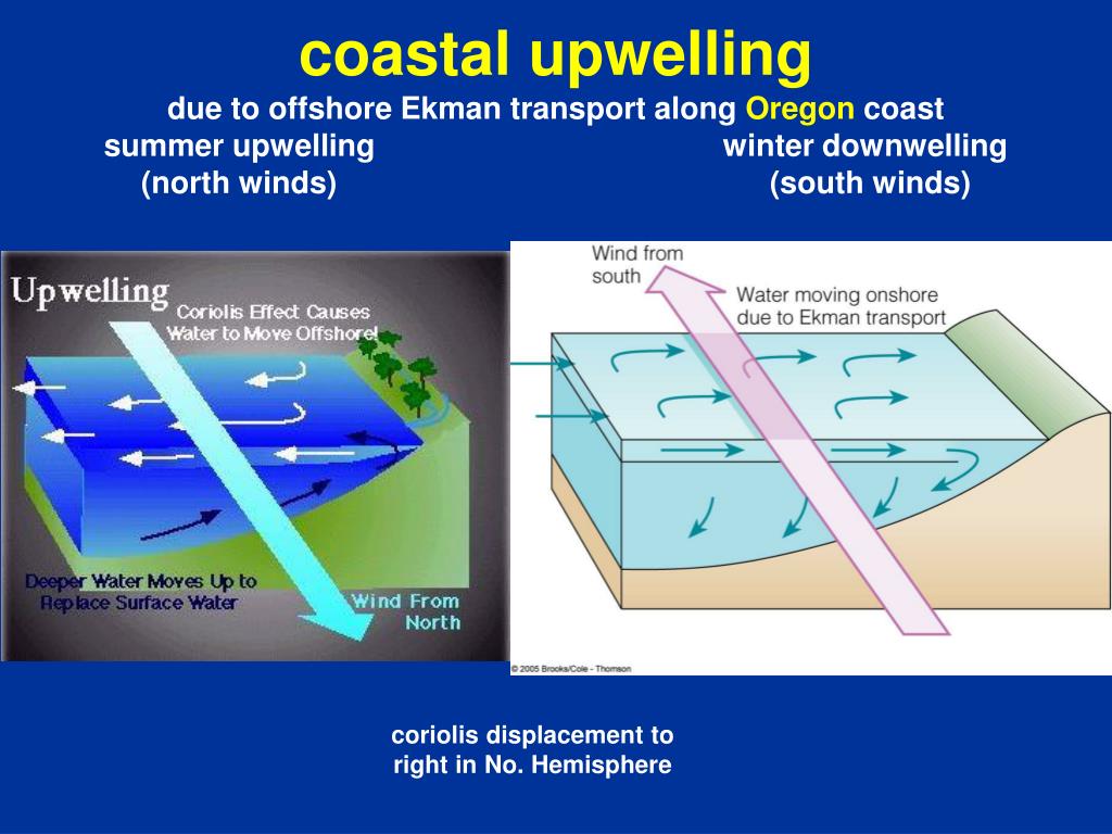 PPT - The Coriolis Effect and Ekman Transport PowerPoint Presentation, free download - ID:3089788