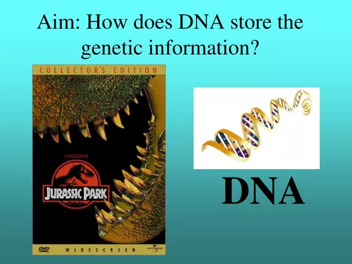 dna running store
