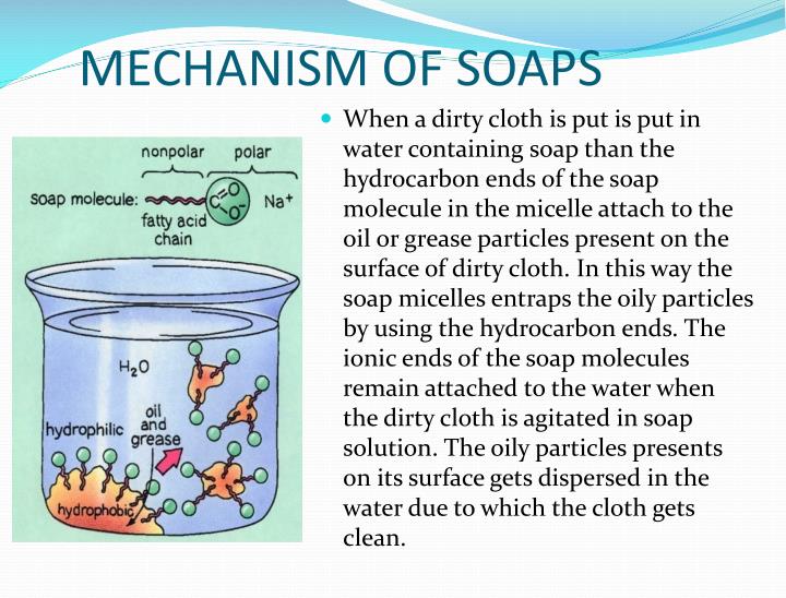 PPT SOAPS AND DETERGENTS PowerPoint Presentation ID3090261