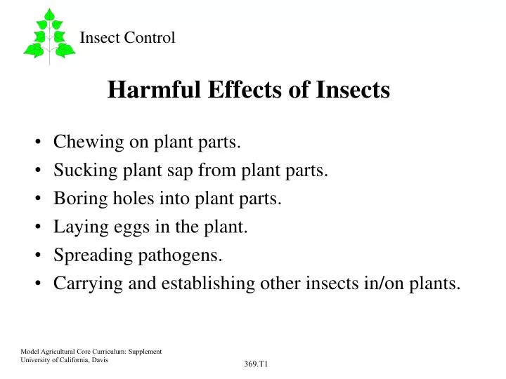 harmful effects of insects n.