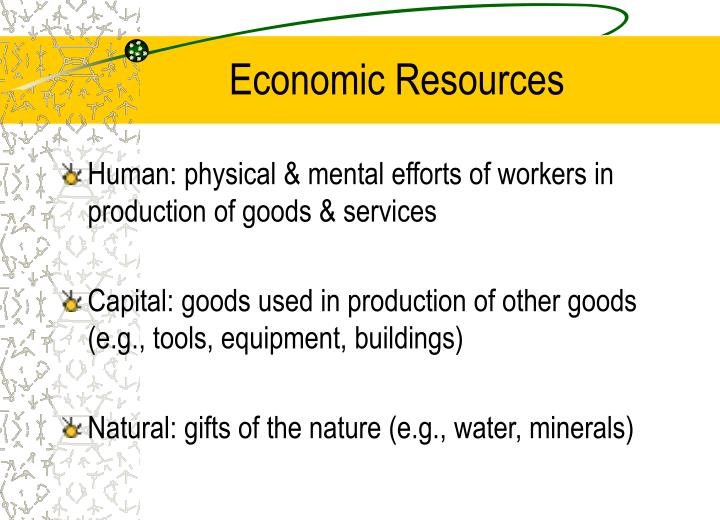 Natural Resources Used In The Production Of Goods And Services Natural Resources Used In The Production Of Goods And Services