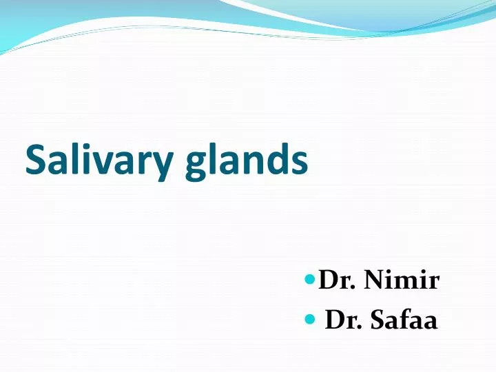 Ppt Salivary Glands Powerpoint Presentation Free Download Id3091166