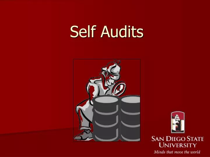 self audits n.