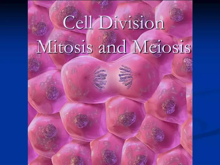 powerpoint presentation on cell division