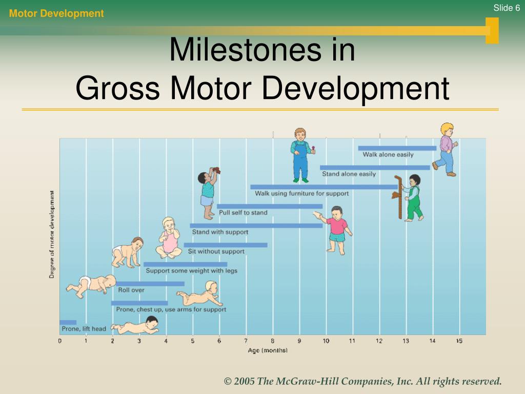 Fine Motor Milestones Chart