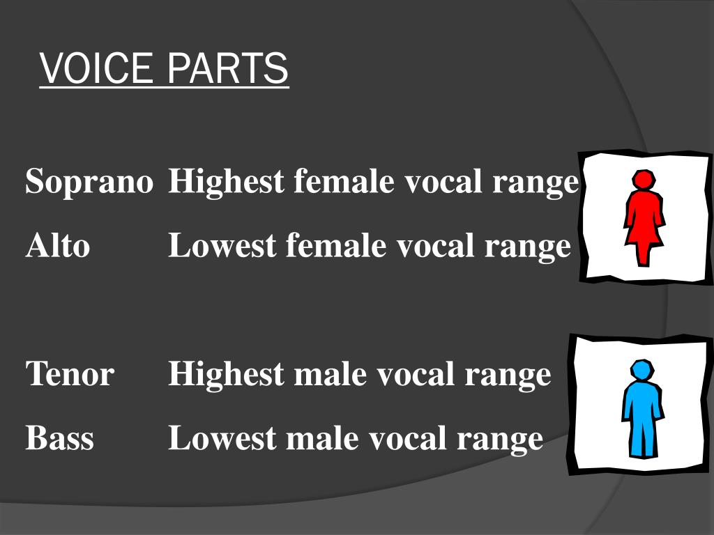 PPT Timbre and Musical Instrument Families PowerPoint Presentation