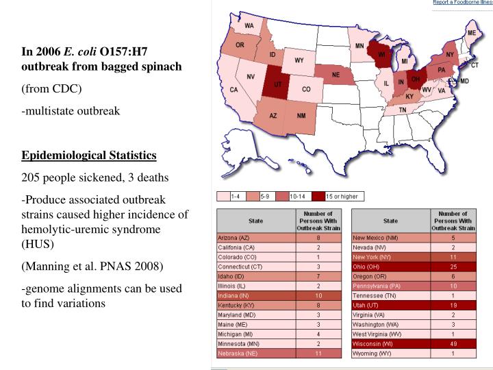PPT - Dissecting virulence of E. coli O157:H7 using genome ...