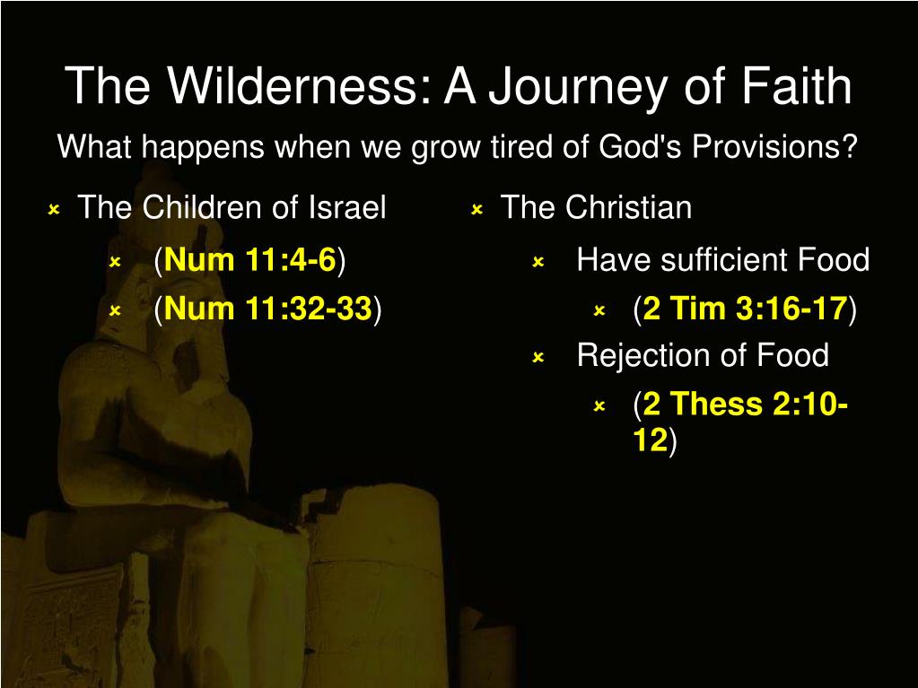 PPT - The Wilderness: A Journey of Faith PowerPoint Presentation, free download - ID:3094606