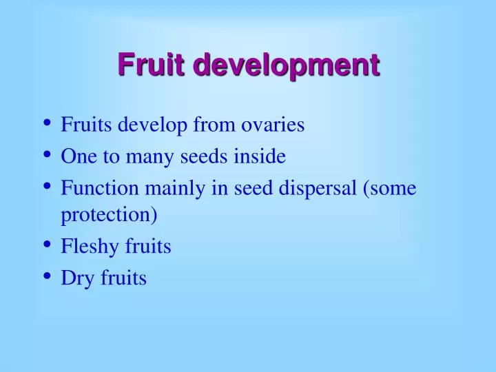 fruit development n.