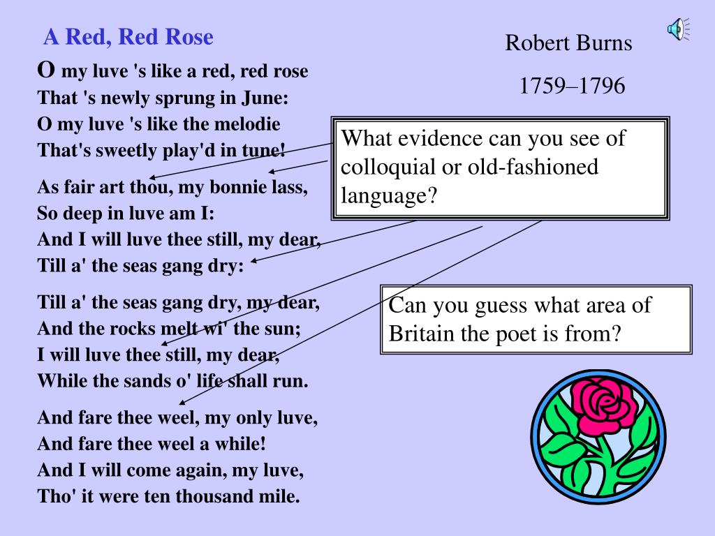 PPT - A Red, Red Rose O my luve 's like a red, red rose That 's newly  sprung in June: PowerPoint Presentation - ID:3094947
