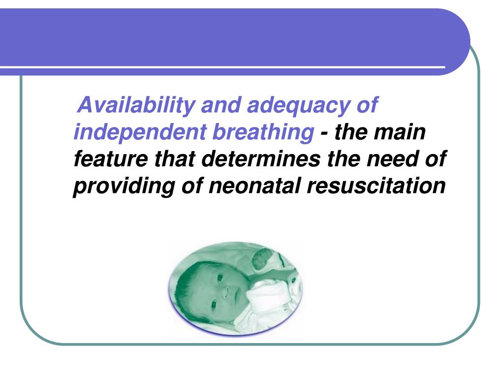 Ppt Primary Neonatal Resuscitation Order № 312 From 06082007