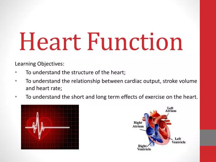 heart pro iii free download heart pro iii free download