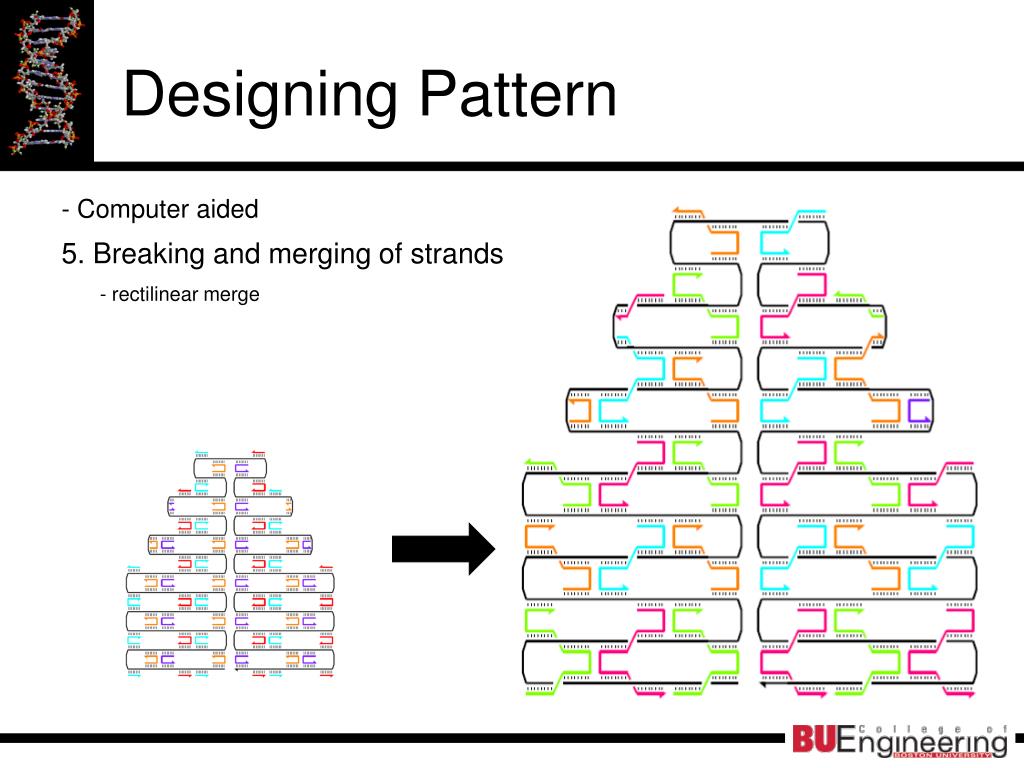 Merging Pattern And Enduring Pattern PPT - Sunmin Ahn Journal Club Presentation October 23, 2006 PowerPoint ...