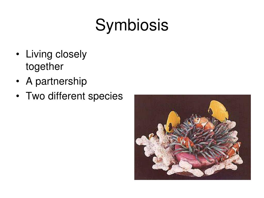 Ppt Symbiosis Powerpoint Presentation Free Download Id