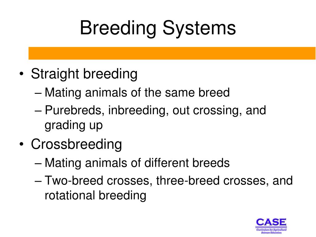 breeding farm download breeding farm download
