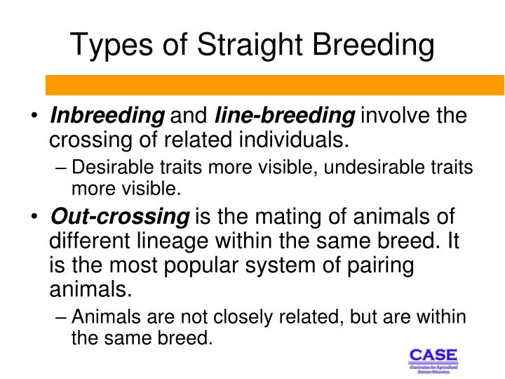 define animal breeder define animal breeder