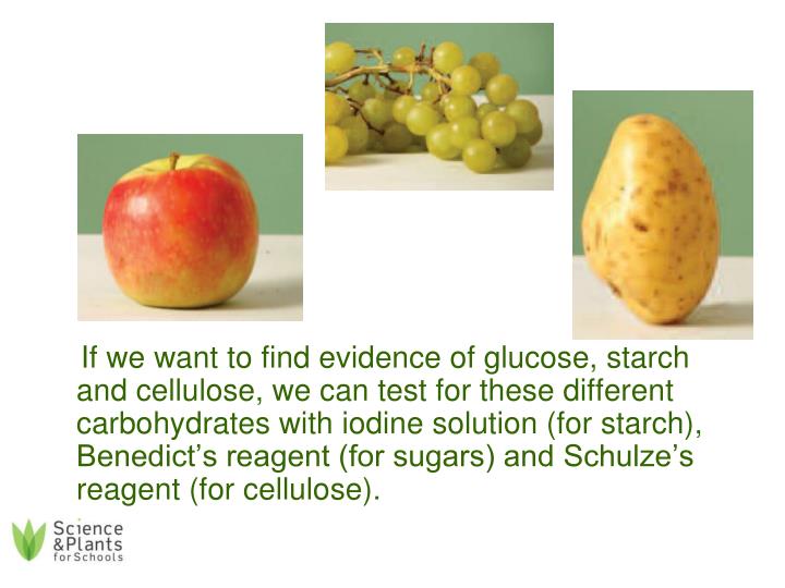 PPT Sugar, starch or cellulose? What sorts of