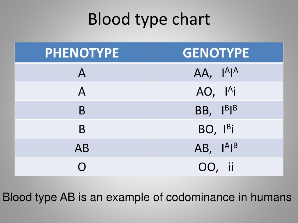 Blood Type Offspring Chart