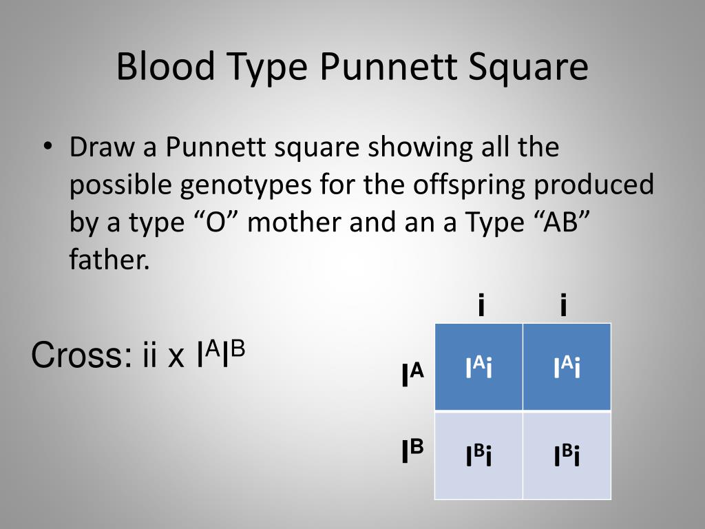 Punnett Square Blood Type Chart Parent Child 175824 Gambarsaefiz