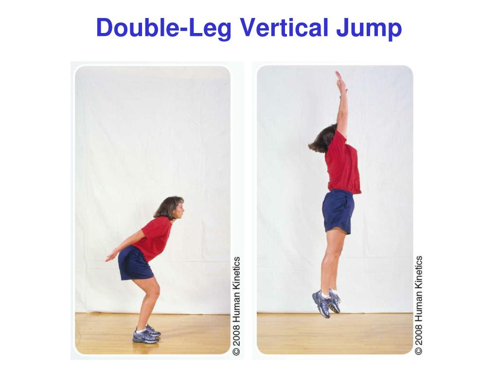 Vertical Jump – Human Kinetics