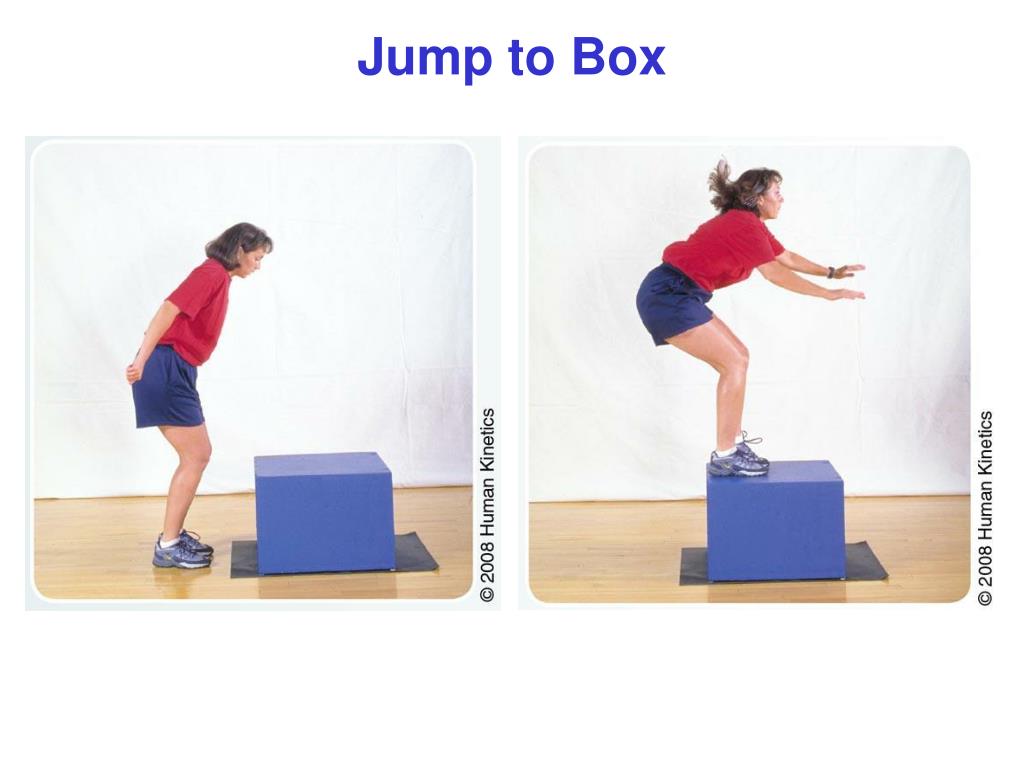 Ppt Photos Of Plyometric Drills Powerpoint Presentation Free