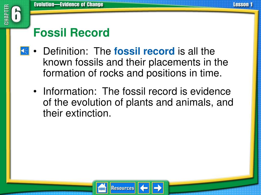 Information about 2025 fossils