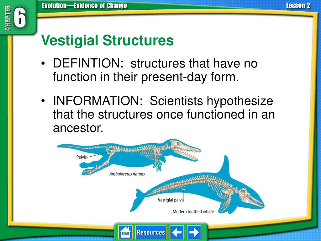 download free vestigial structures download free vestigial structures
